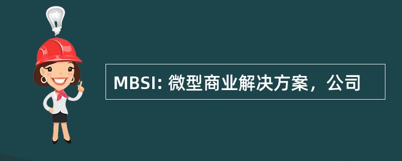 MBSI: 微型商业解决方案，公司