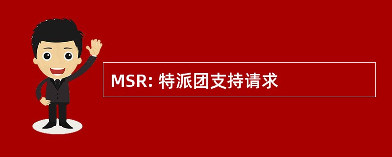 MSR: 特派团支持请求