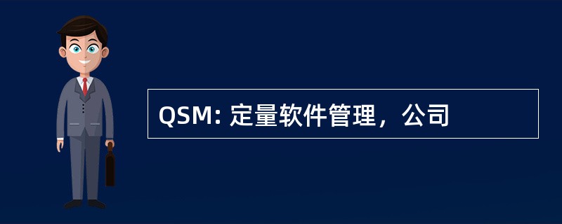 QSM: 定量软件管理，公司