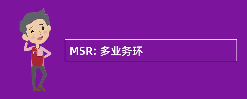 MSR: 多业务环