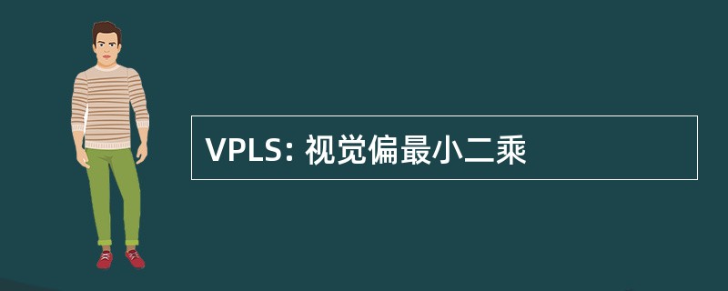 VPLS: 视觉偏最小二乘