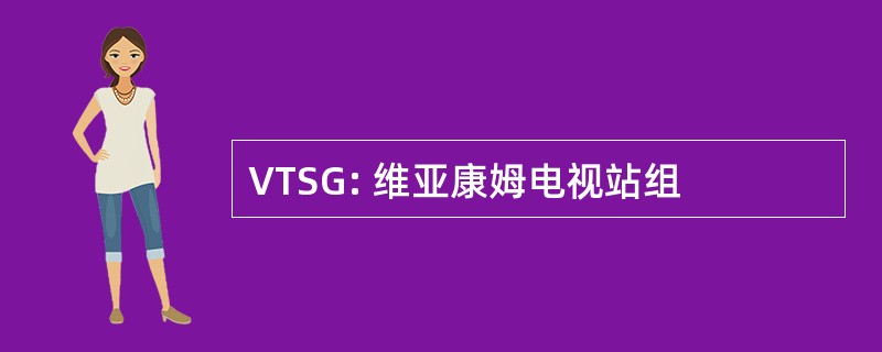 VTSG: 维亚康姆电视站组