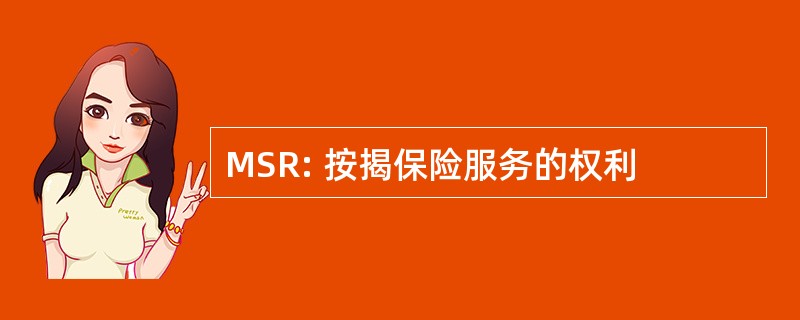 MSR: 按揭保险服务的权利