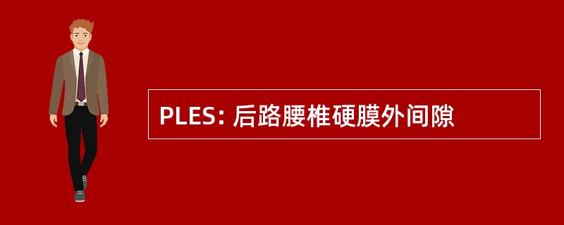 PLES: 后路腰椎硬膜外间隙