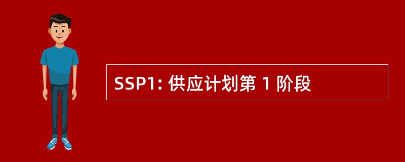 SSP1: 供应计划第 1 阶段