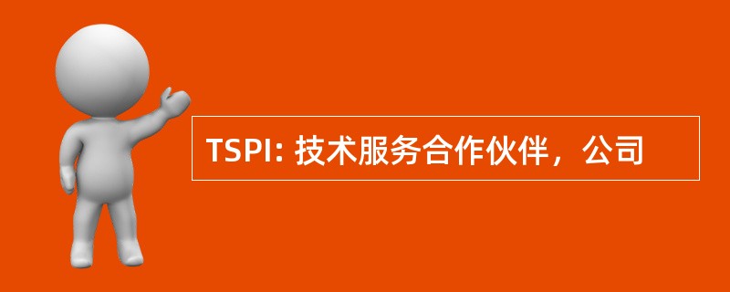 TSPI: 技术服务合作伙伴，公司