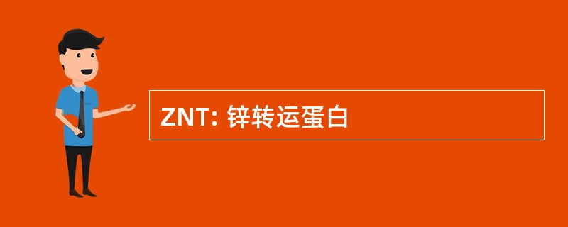 ZNT: 锌转运蛋白