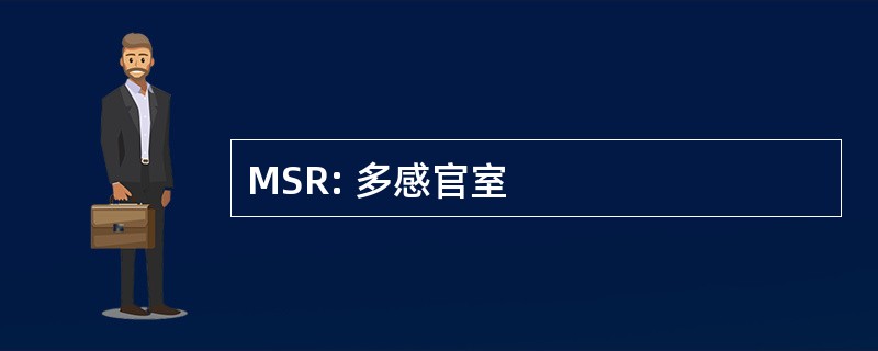 MSR: 多感官室