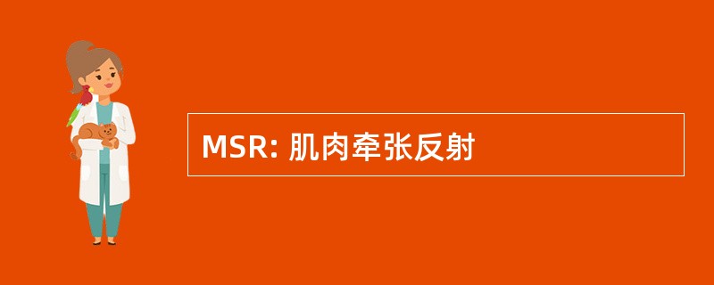 MSR: 肌肉牵张反射