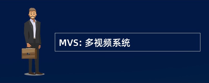 MVS: 多视频系统