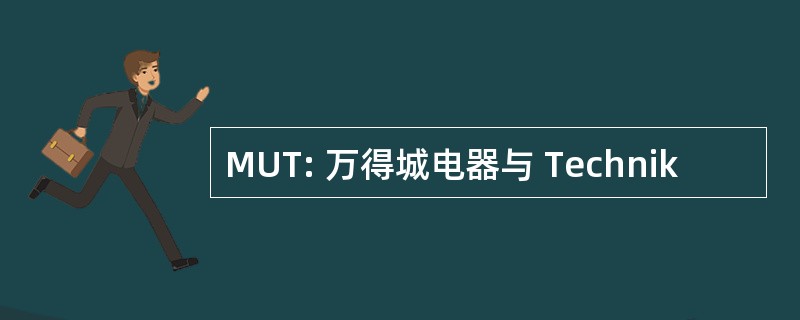 MUT: 万得城电器与 Technik