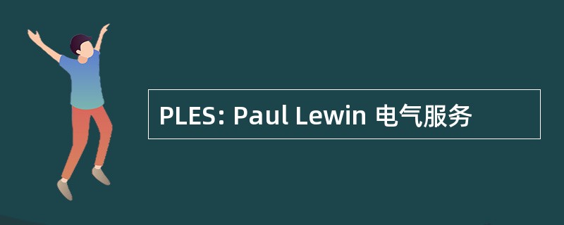 PLES: Paul Lewin 电气服务