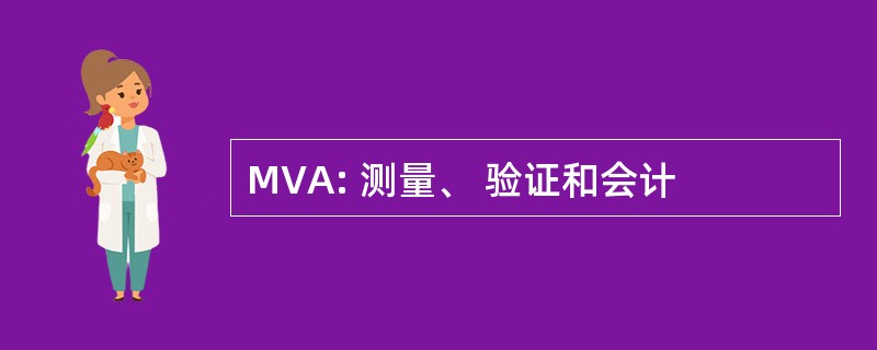 MVA: 测量、 验证和会计