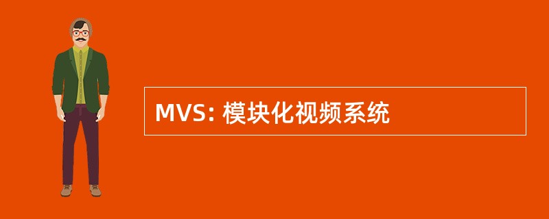 MVS: 模块化视频系统