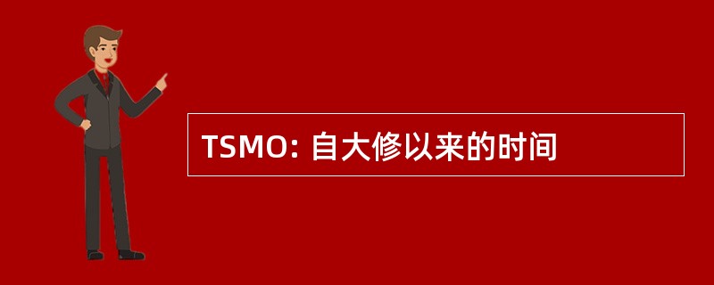 TSMO: 自大修以来的时间