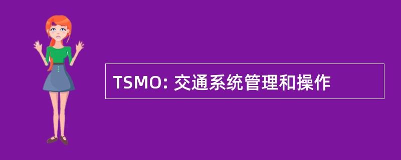 TSMO: 交通系统管理和操作