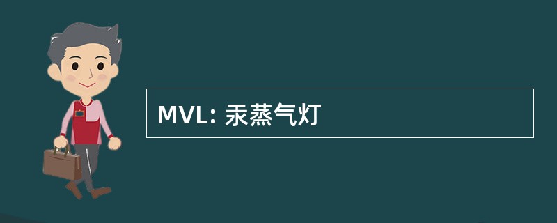 MVL: 汞蒸气灯