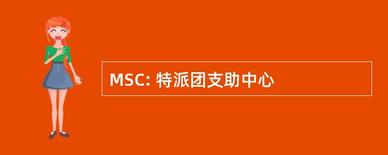 MSC: 特派团支助中心