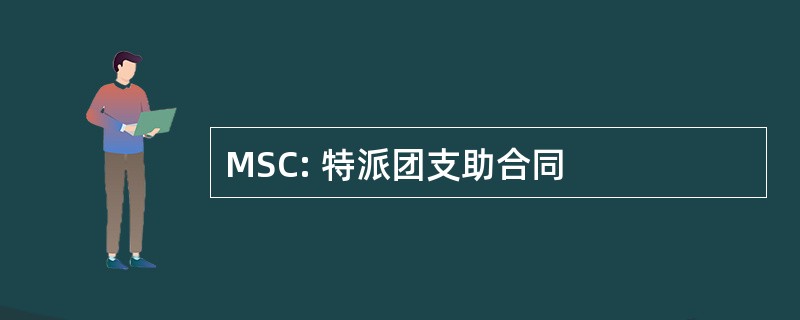 MSC: 特派团支助合同