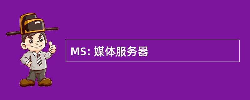 MS: 媒体服务器