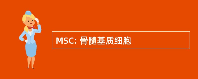 MSC: 骨髓基质细胞