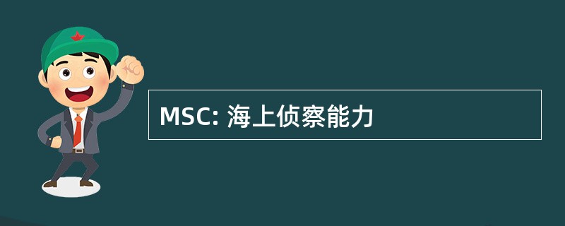 MSC: 海上侦察能力