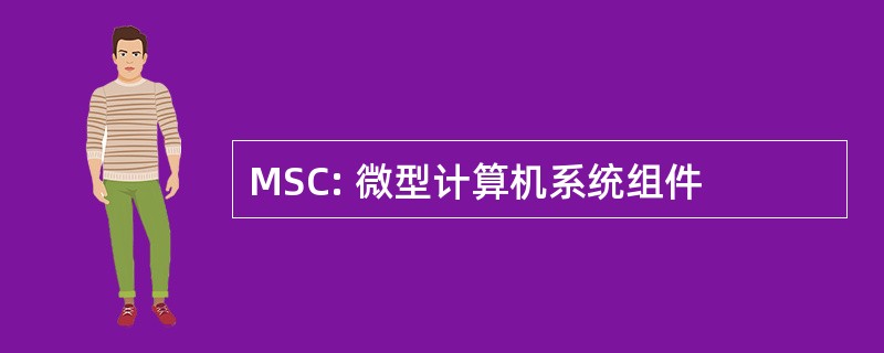 MSC: 微型计算机系统组件