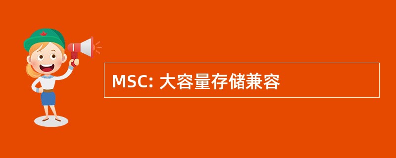 MSC: 大容量存储兼容