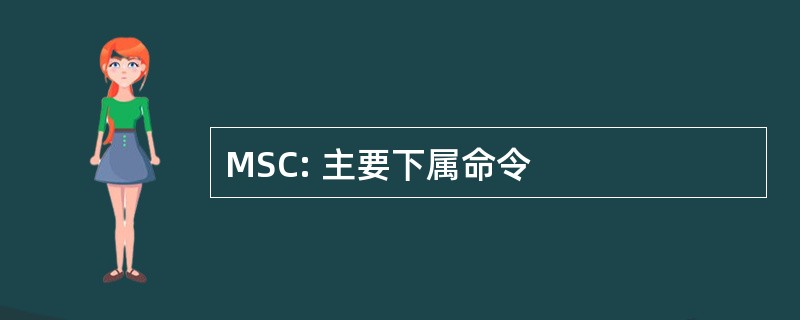 MSC: 主要下属命令