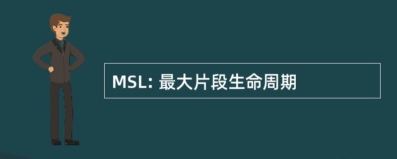 MSL: 最大片段生命周期