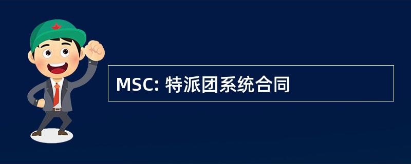 MSC: 特派团系统合同