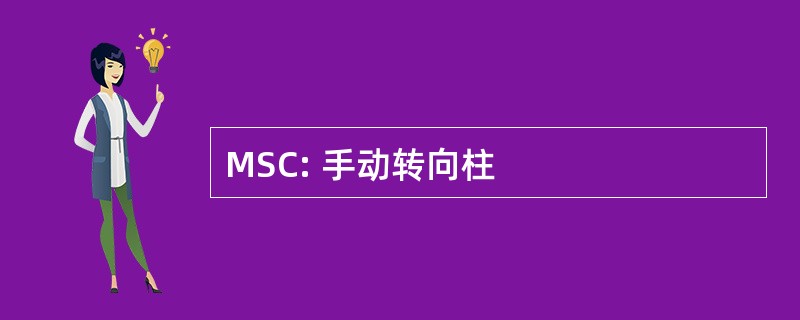 MSC: 手动转向柱