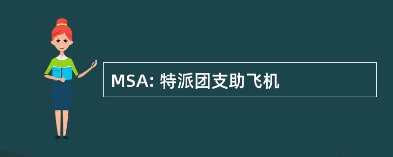 MSA: 特派团支助飞机