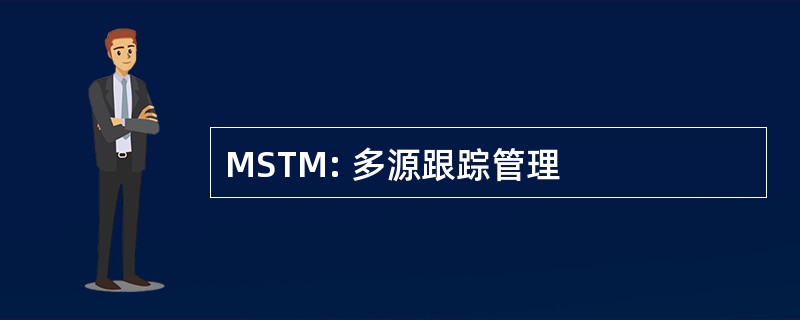 MSTM: 多源跟踪管理