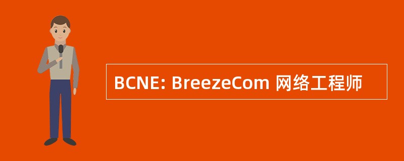 BCNE: BreezeCom 网络工程师