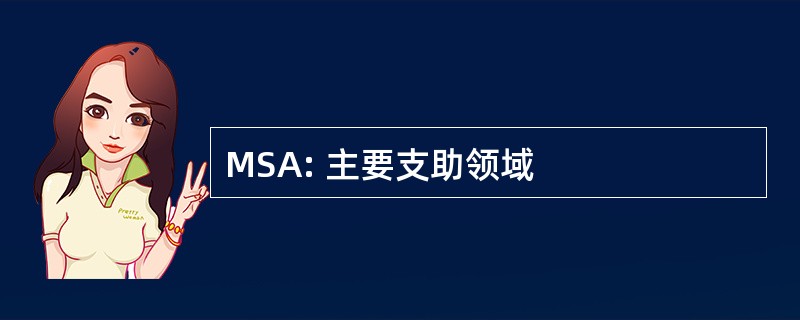 MSA: 主要支助领域