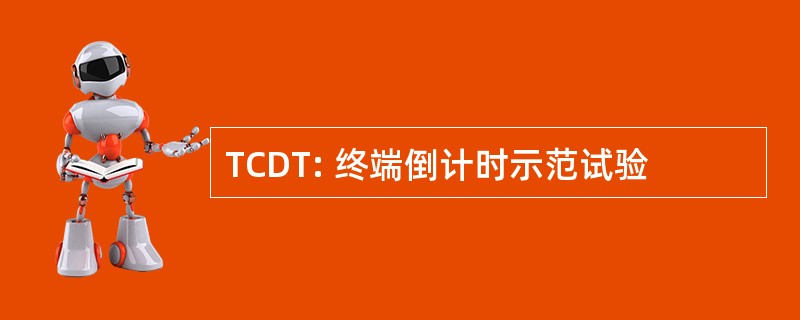 TCDT: 终端倒计时示范试验