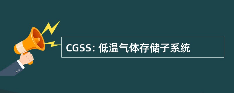 CGSS: 低温气体存储子系统