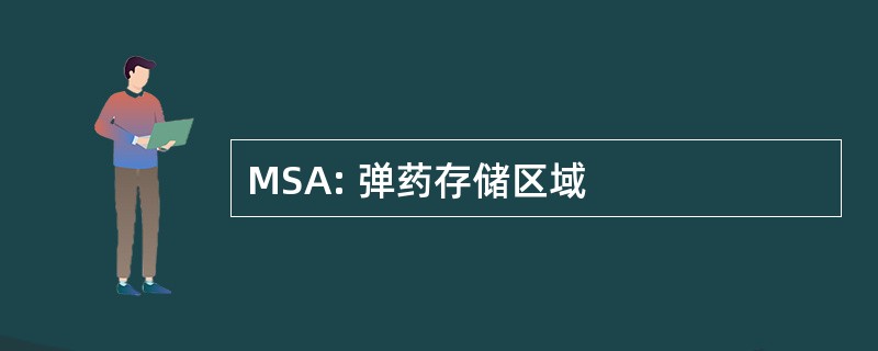 MSA: 弹药存储区域