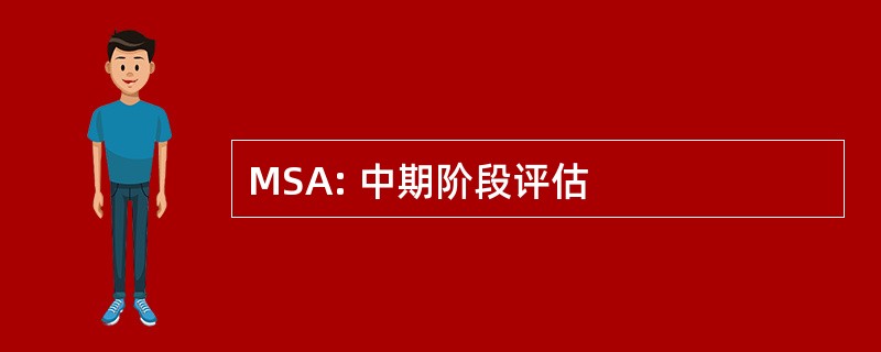 MSA: 中期阶段评估