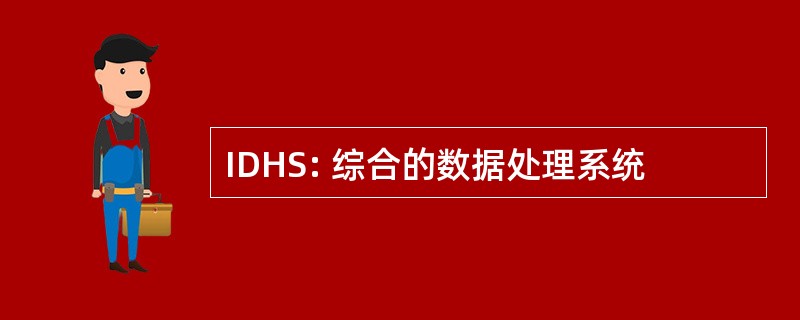 IDHS: 综合的数据处理系统