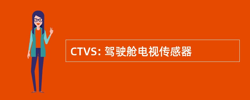 CTVS: 驾驶舱电视传感器