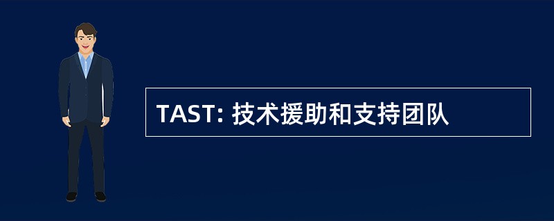 TAST: 技术援助和支持团队