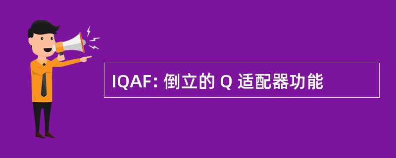 IQAF: 倒立的 Q 适配器功能