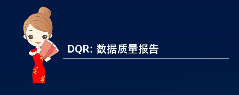 DQR: 数据质量报告