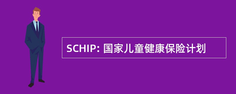 SCHIP: 国家儿童健康保险计划