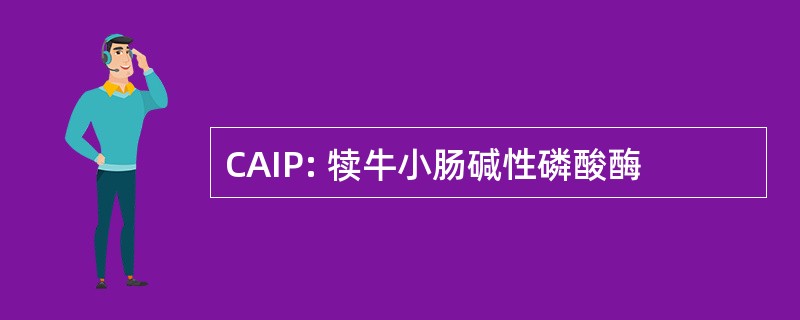 CAIP: 犊牛小肠碱性磷酸酶