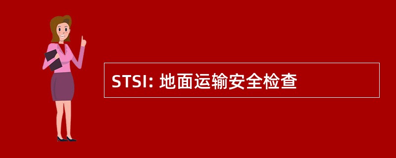 STSI: 地面运输安全检查