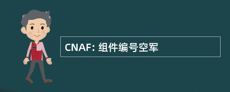 CNAF: 组件编号空军