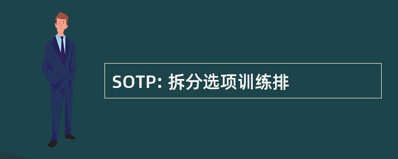 SOTP: 拆分选项训练排